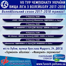 VII тур Чемпіонату України з волейболу в Лубнах